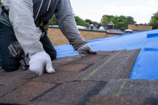 Roof Installation Near Me in Caro, MI