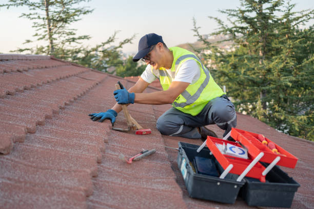 Best Roof Gutter Cleaning  in Caro, MI