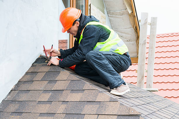 Best Sealant for Roof  in Caro, MI