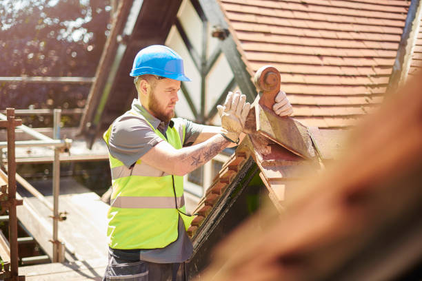 Best Sealant for Roof  in Caro, MI