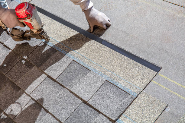 Best Roof Repair Services  in Caro, MI