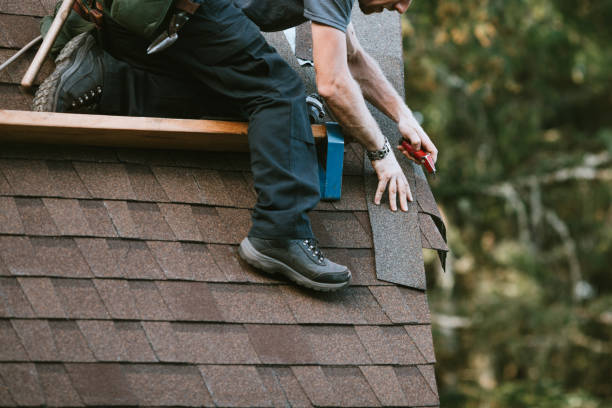 Best Local Roofing Companies  in Caro, MI